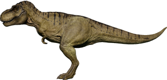 Tyrannosaurus Jurassic World Evolution Wiki Fandom - roblox realistic dinosaurs challenge worlds biggest dino