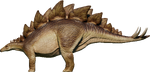 Stegosaurus (D)