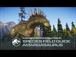 Species Field Guide - Amargasaurus
