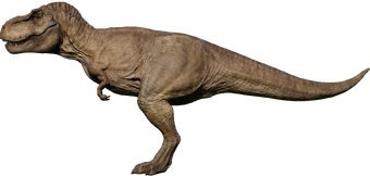 tyrannosaurus jurassic world evolution wiki fandom jurassic world evolution wiki