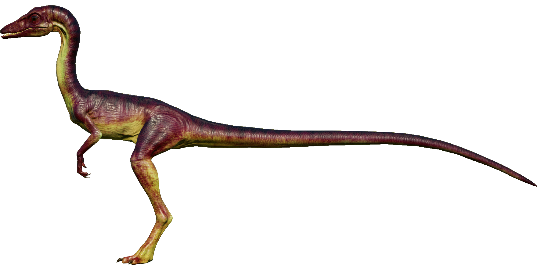 1) Deinonychus 2) Pterodactyl 3) Archaeopteryx 4) Parasaurolophus 5)  Pachycephalosaurus