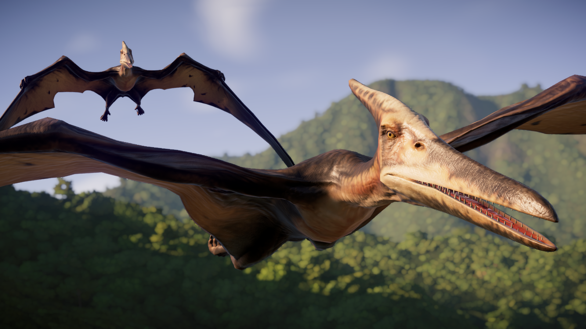 Pterodactyls And Other 'Flying Dinosaurs' Were Actually Di-not-saurs