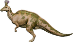 Tsintaosaurus