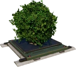 GroundHerbivorefeeder