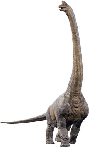 brachiosaurus is