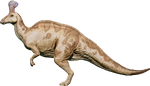 Tsintaosaurus