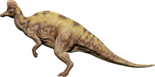 Corythosaurus