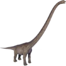 Mamenchisaurus
