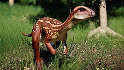 648350 screenshots 20190918094238 1.jpg (4.73 MB)