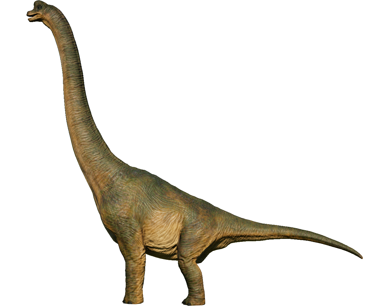 t rex vs brachiosaurus