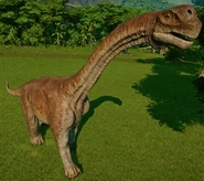 Camarasaurus Disponible dans le Centre d'expedition
