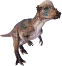 Pachycephalosaurus