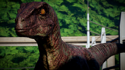 Velociraptor | Jurassic World Evolution Wiki | Fandom