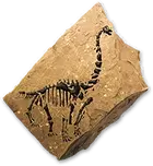 Sauropodfossilicon