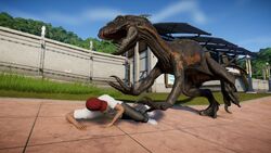 IndorCal Seeum.jpg (533 KB)