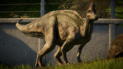Corythosaurus | Jurassic World Evolution Wiki | Fandom