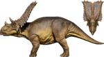 Chasmosaurus