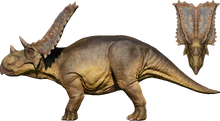 Chasmosaurus