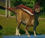 Parasaurolophus Disponible dans le Centre d'expedition