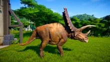 ペンタケラトプス ジュラシックワールドエボリューション攻略 Wiki Fandom ペンタケラトプス ジュラシックワールドエボリューション攻略 Wiki Fandom