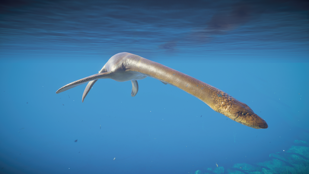 Plesiosaurs プレシオサウルス