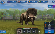 Nasutoceratops: First Stage