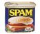 Spam