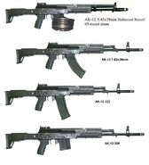 Variants of the AK-12 in real life.