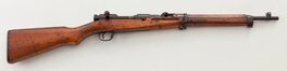 Gun