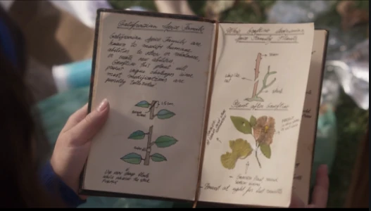 Spice Pollination Just Add Magic Wiki Fandom