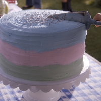 Last Ditch Layer Cake Just Add Magic Wiki Fandom