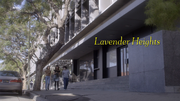 Lavender Heights.png