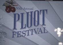 Pluot-festival