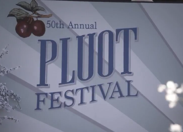 Pluot Festival Shirt Pluot Festival Shirt