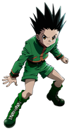 Gon Freecss