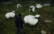 Low poly sheep-insects.