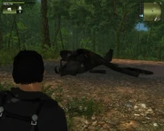 Crashed plane.jpg (358 KB) A crashed version on Isla Alegre to the right of Guerrilla 14 "Camp Lighthouse".