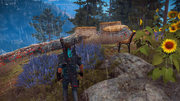 Mountain prop set.png