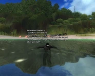 Swimming controls.