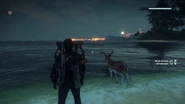 A deer in water. Seconds after this screenshot was taken, a wave swept into the deer, killing it.