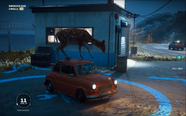 The Deer Car