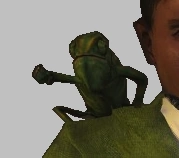 Pandak's pet chameleon.