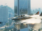 X700 Flycatcher