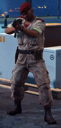 Regular soldier. These are the most common type of soldiers in the Medici Military.