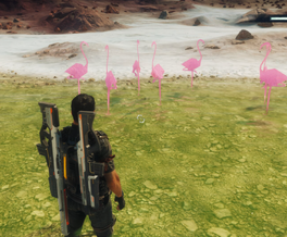 Seven flamingos easter egg