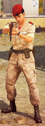 A female soldier.