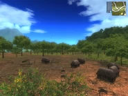 Race The Endless Summer - Second circuit