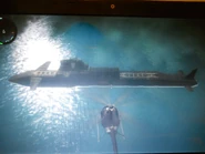 The entire left side.