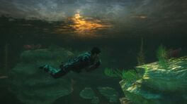 The under-water landscape found in Panau Tengah Bay and other districts.