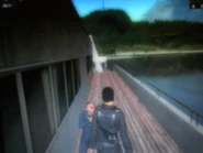 Getting this close up is probably not recommended.